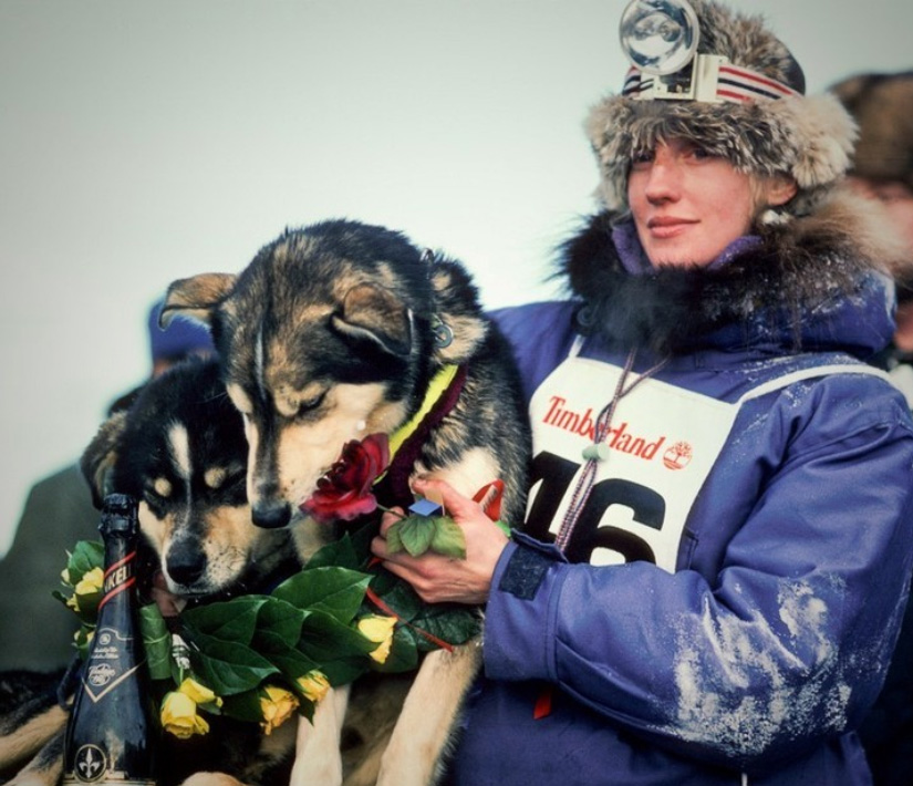 The 50th “Great Race on Earth”