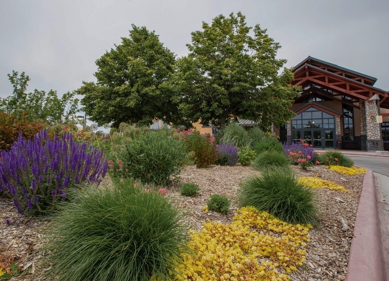 Landscape Services & Maintenance Monarch Landscape Companies