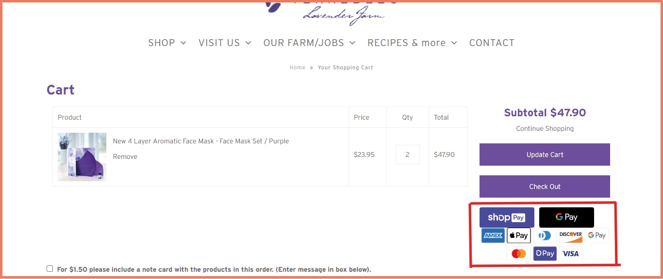 Multiple payment option checkout page example