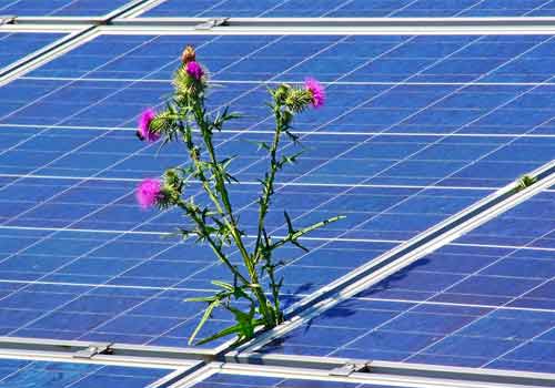 Différents facteurs influent sur la production d'un panneau solaire.