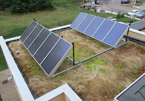 Les panneaux solaires peuvent êtres installés sur une toiture végétalisée.