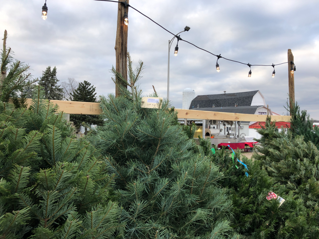 Uncle John's Cider Mill Tree's