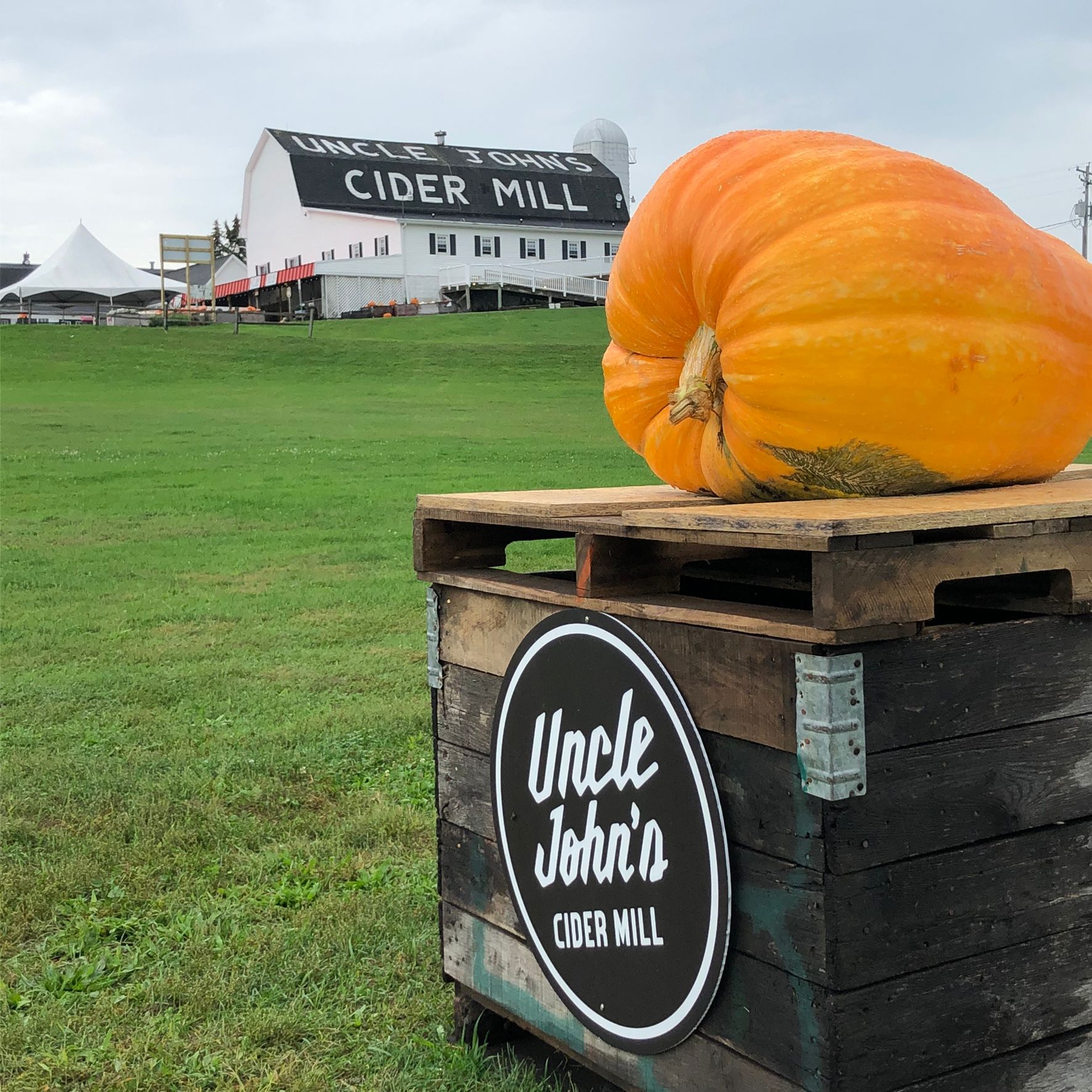 Uncle John's Cider Mill Pumkin with barn in background