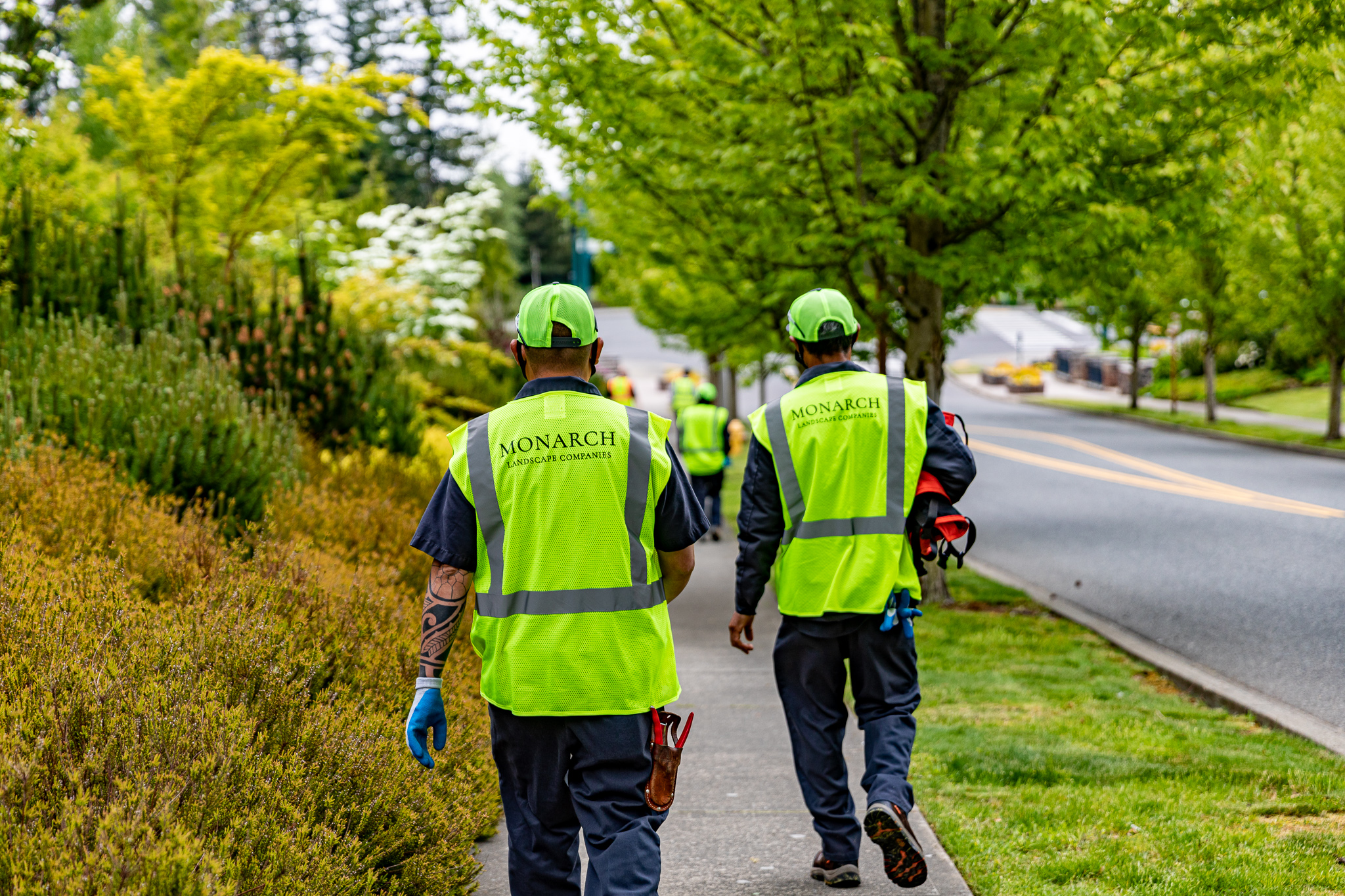 Monarch Landscape Companies Blog