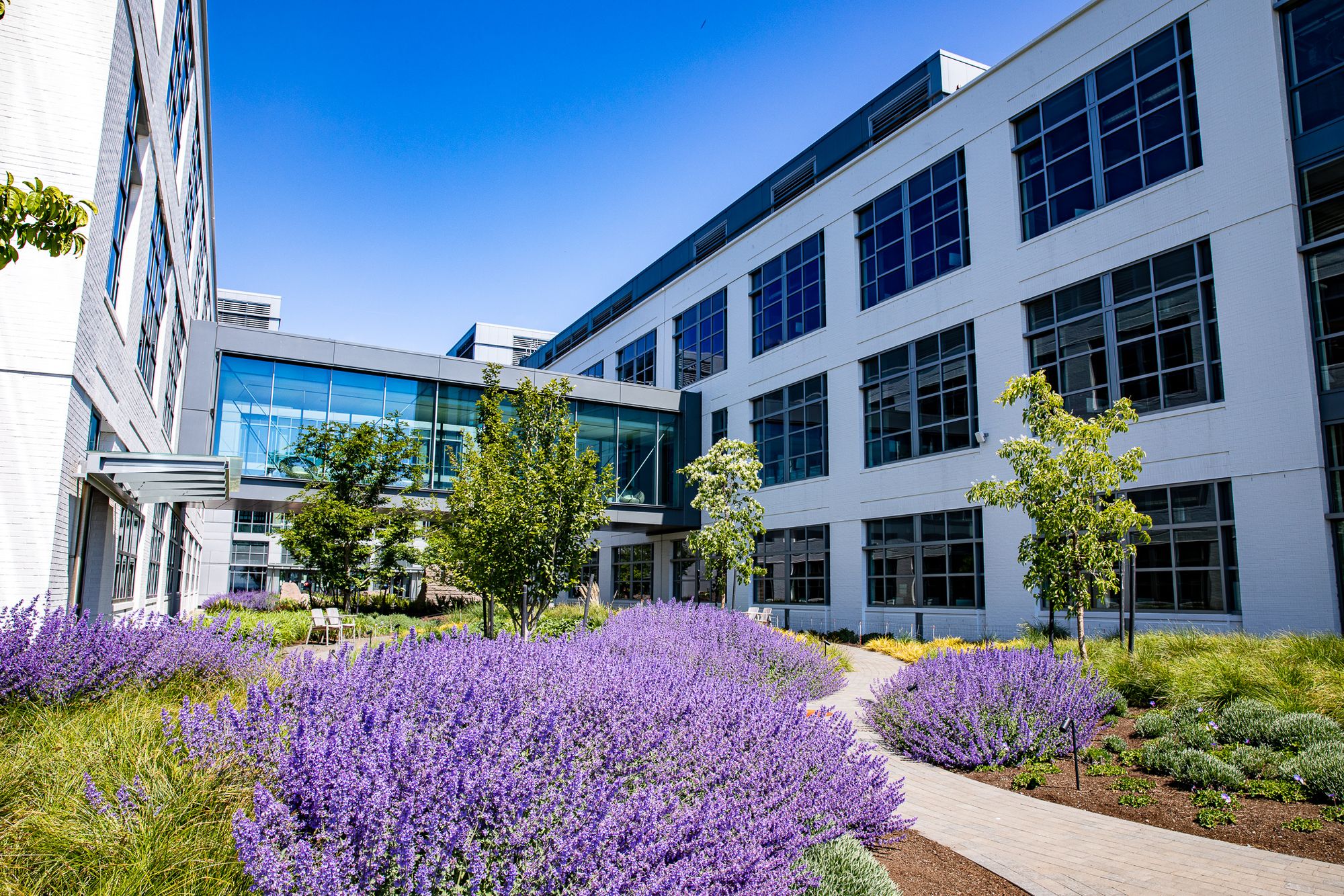 Monarch Landscape Companies Blog