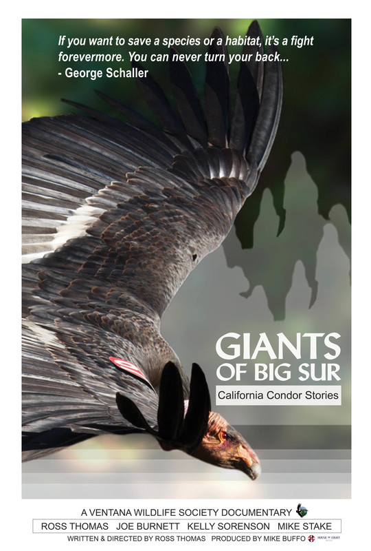 Giants of Big Sur: California Condor Stories
