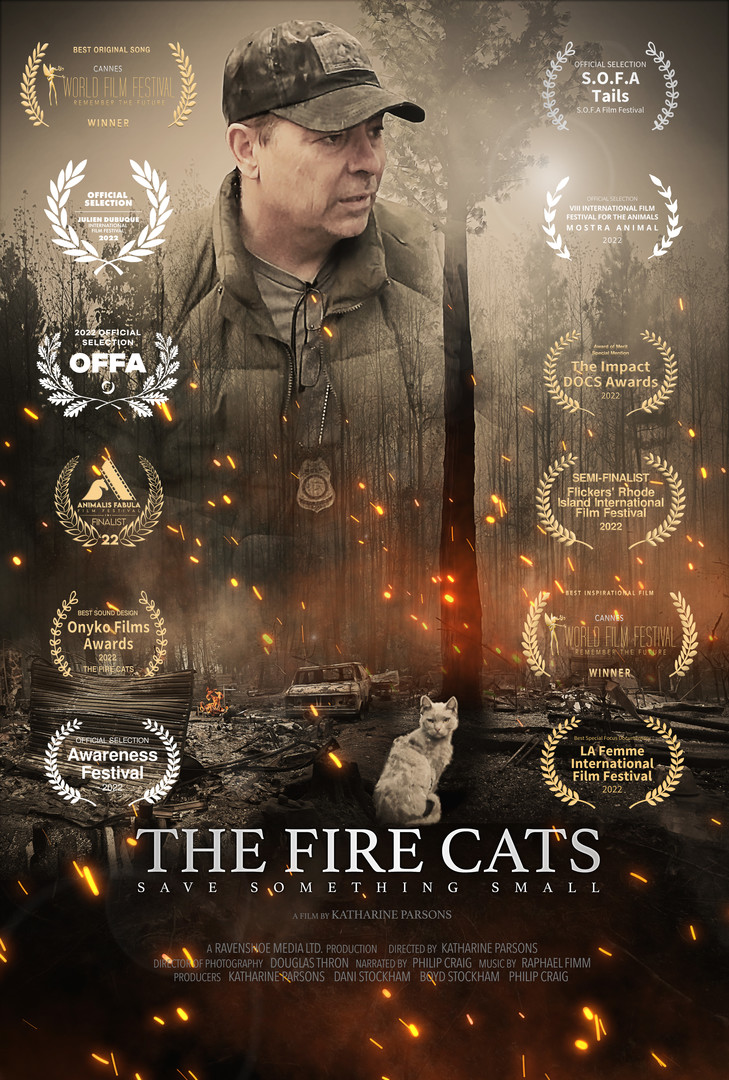THE FIRE CATS - Save Something Small