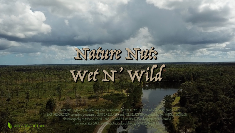 Nature Nut: Wet N' Wild