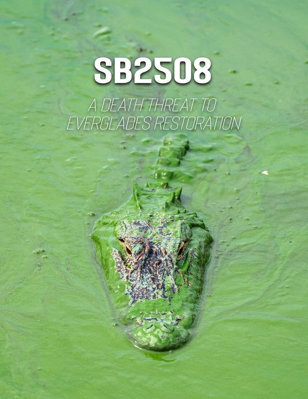 SB2508: A Death Threat to Everglades Restoration