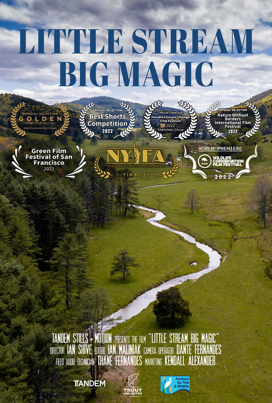 Little Stream Big Magic