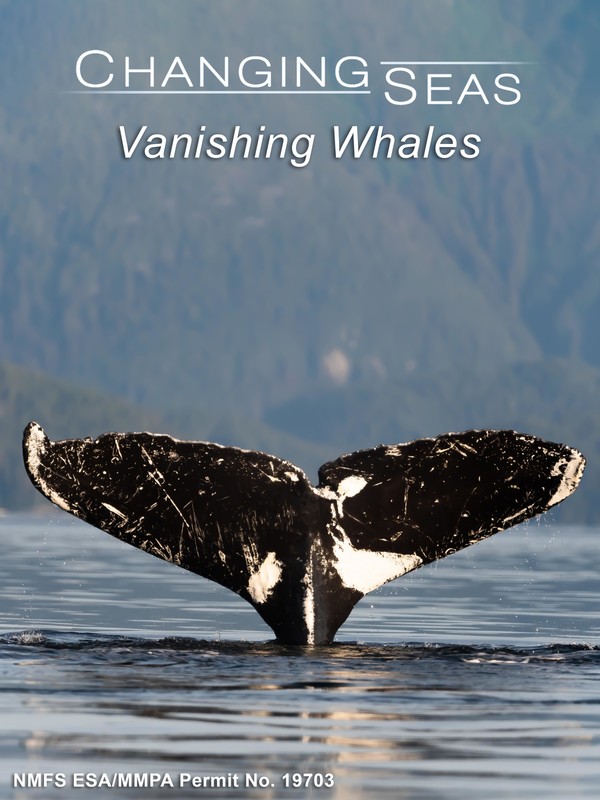 Changing Seas: "Vanishing Whales"