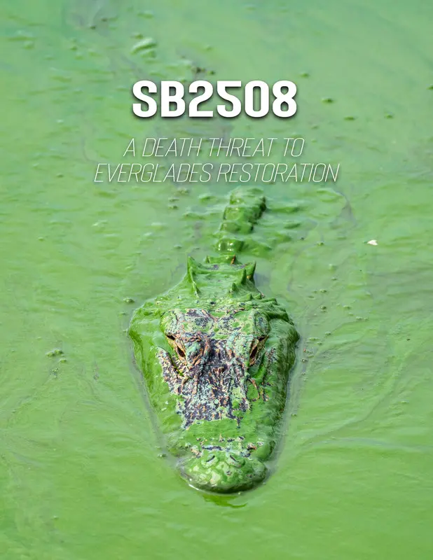 SB2508: A Death Threat to Everglades Restoration