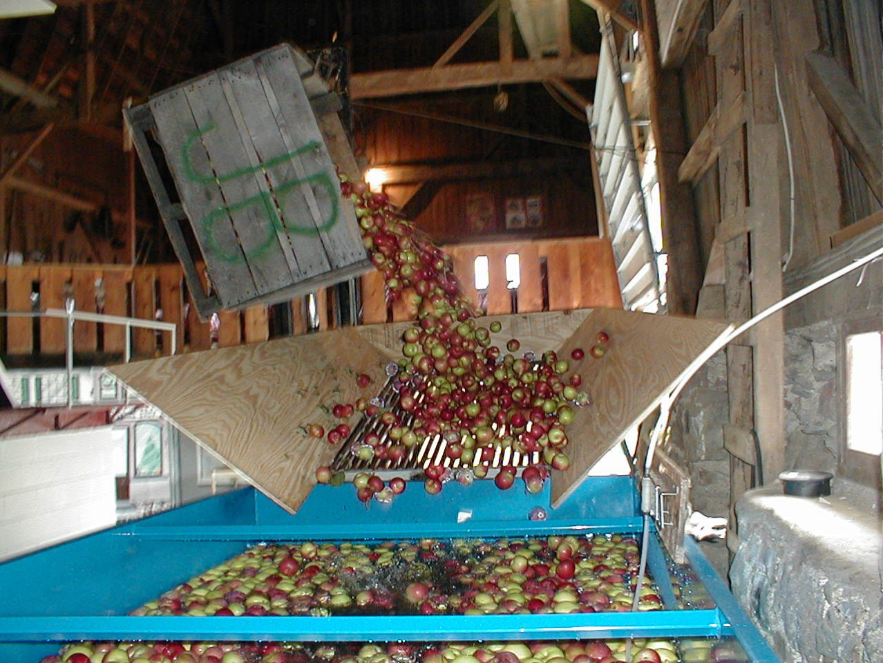 1. Only hand picked select Michigan Apples are used.After the apples are picked, they are soaked in a mild Chlorine Dioxide solution. This solution is very similar to water treatments used in city-water systems for drinking.