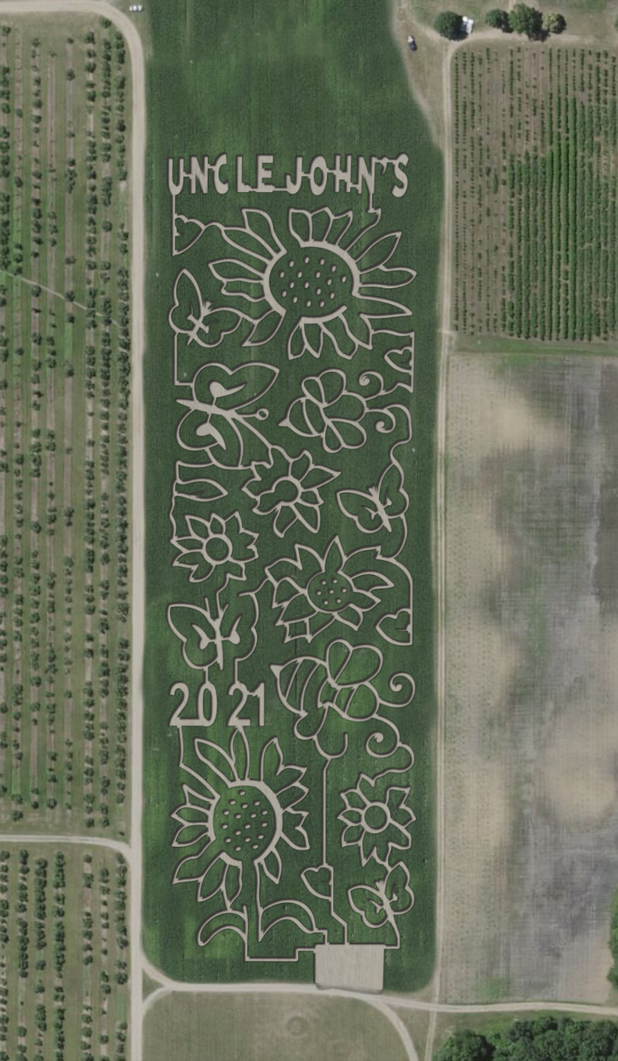 Corn maze