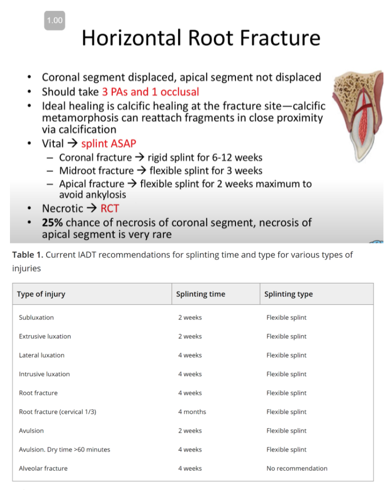 Splinting Time Guidelines