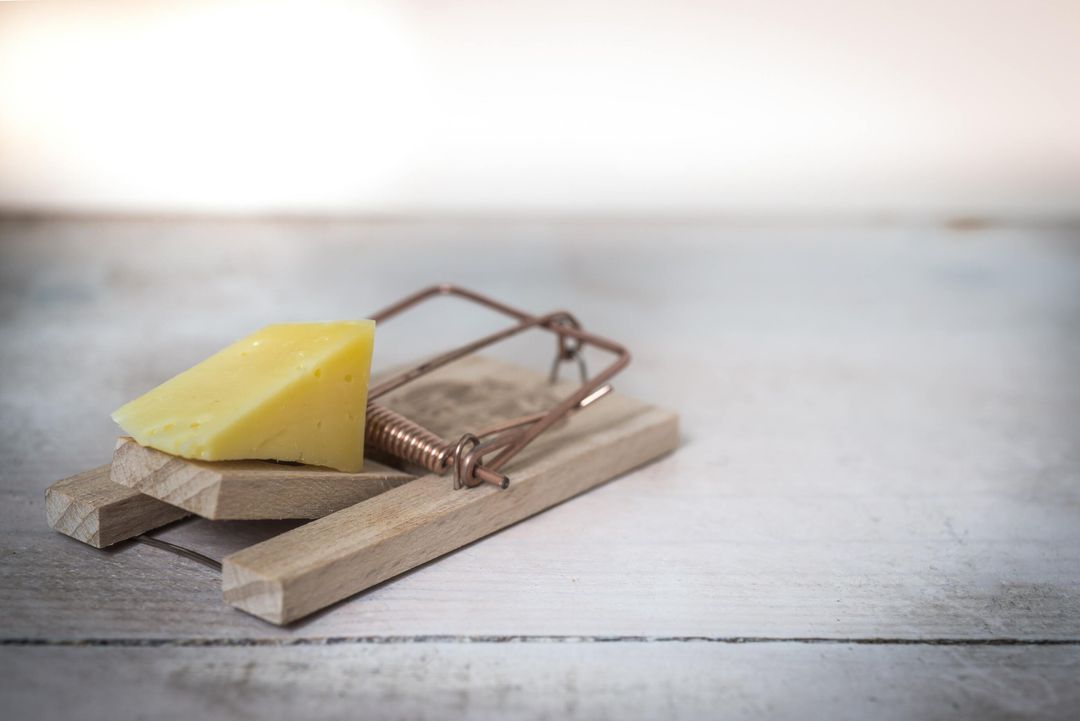 Common Traps on the DAT Reading Comprehension Section | Bootcamp.com