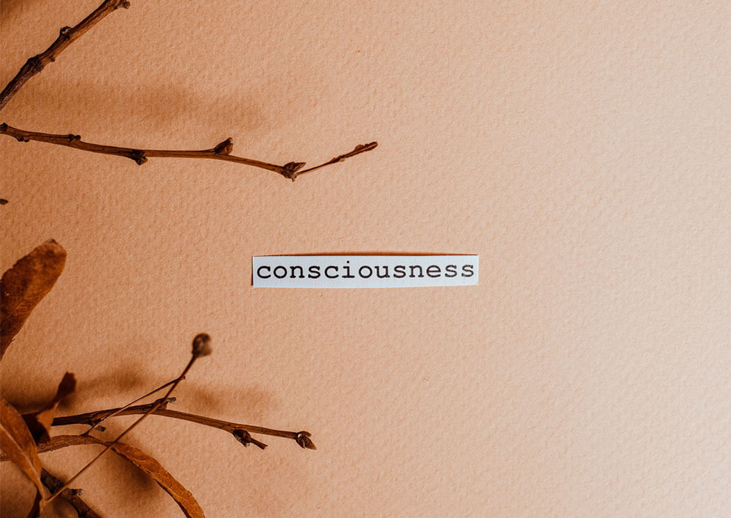 Consciousness Word on an Orange background with flower branches around.