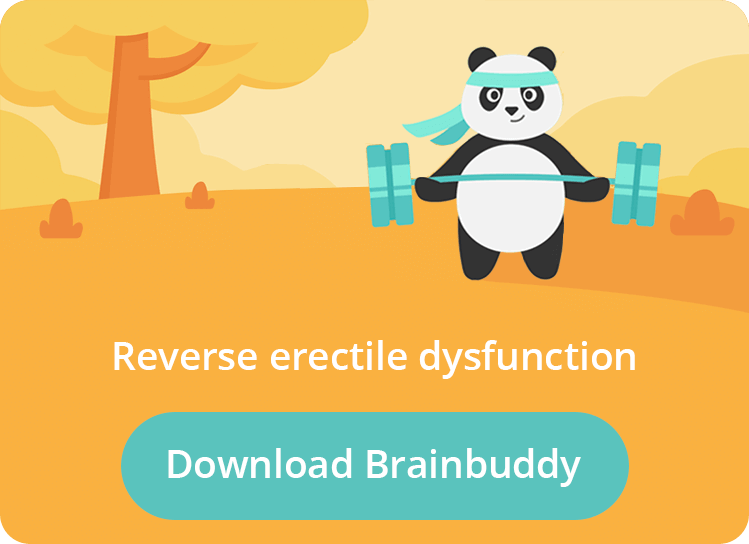 Porn Addiction Erectile Dysfunction - Brainbuddy