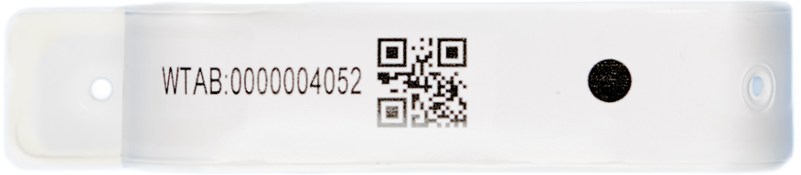 The Wristband.