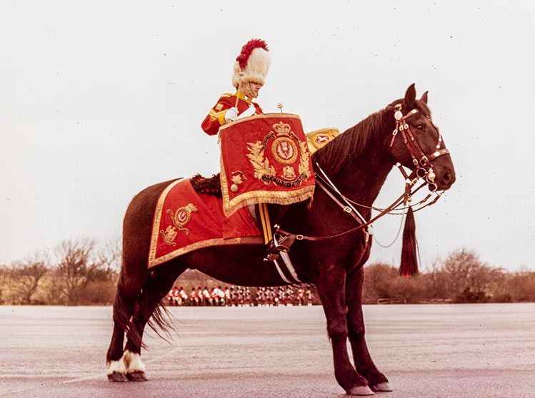 Royal Scots Cravatta Reggimentale – Poliestere Di Qualità, Tessuta A Mano, Disegno Tradizionale Scozzese