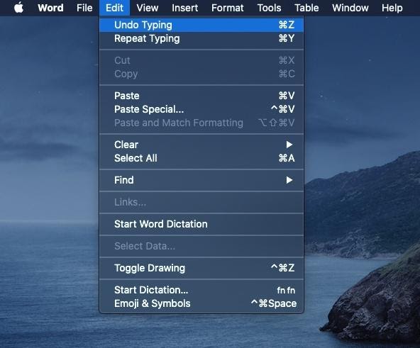 An image of Microsoft Word's toolbar. The edit menu category has been opened and the Undo Typing menu item has been selected. Alongside the menu items prompts to the user appears to show them that it's possible to activate this command by using keyboard shortcuts.