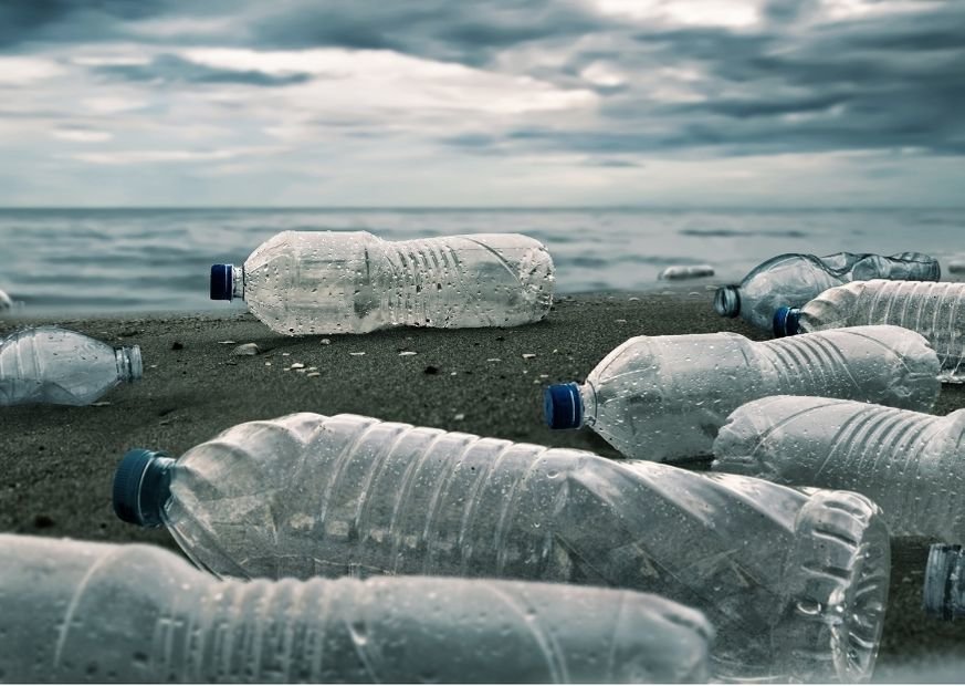 The battle between the and plastic bottles which side will you