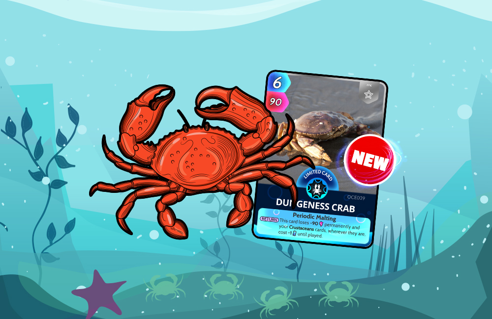 Get Your Crab Claws Into This