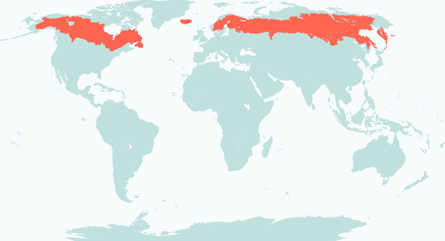 Biome Map Image