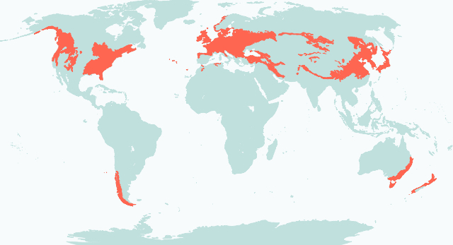Biome Map Image