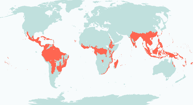 Biome Map Image