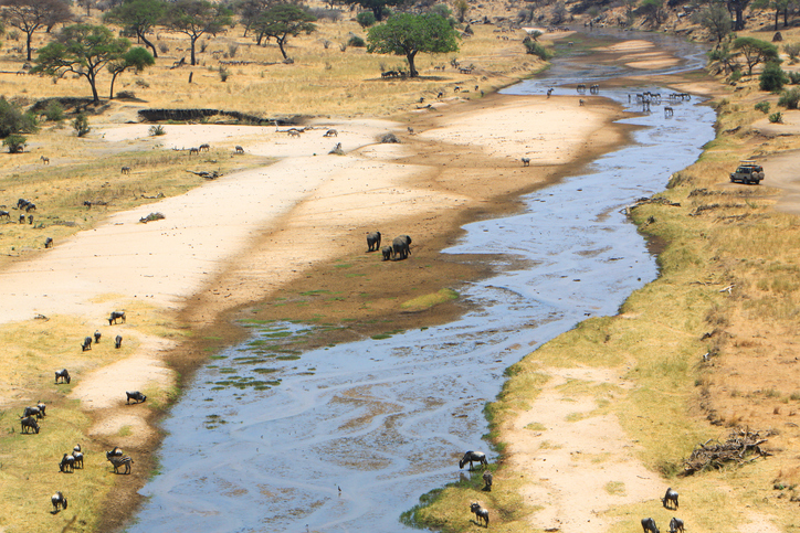 Tarangire National Park