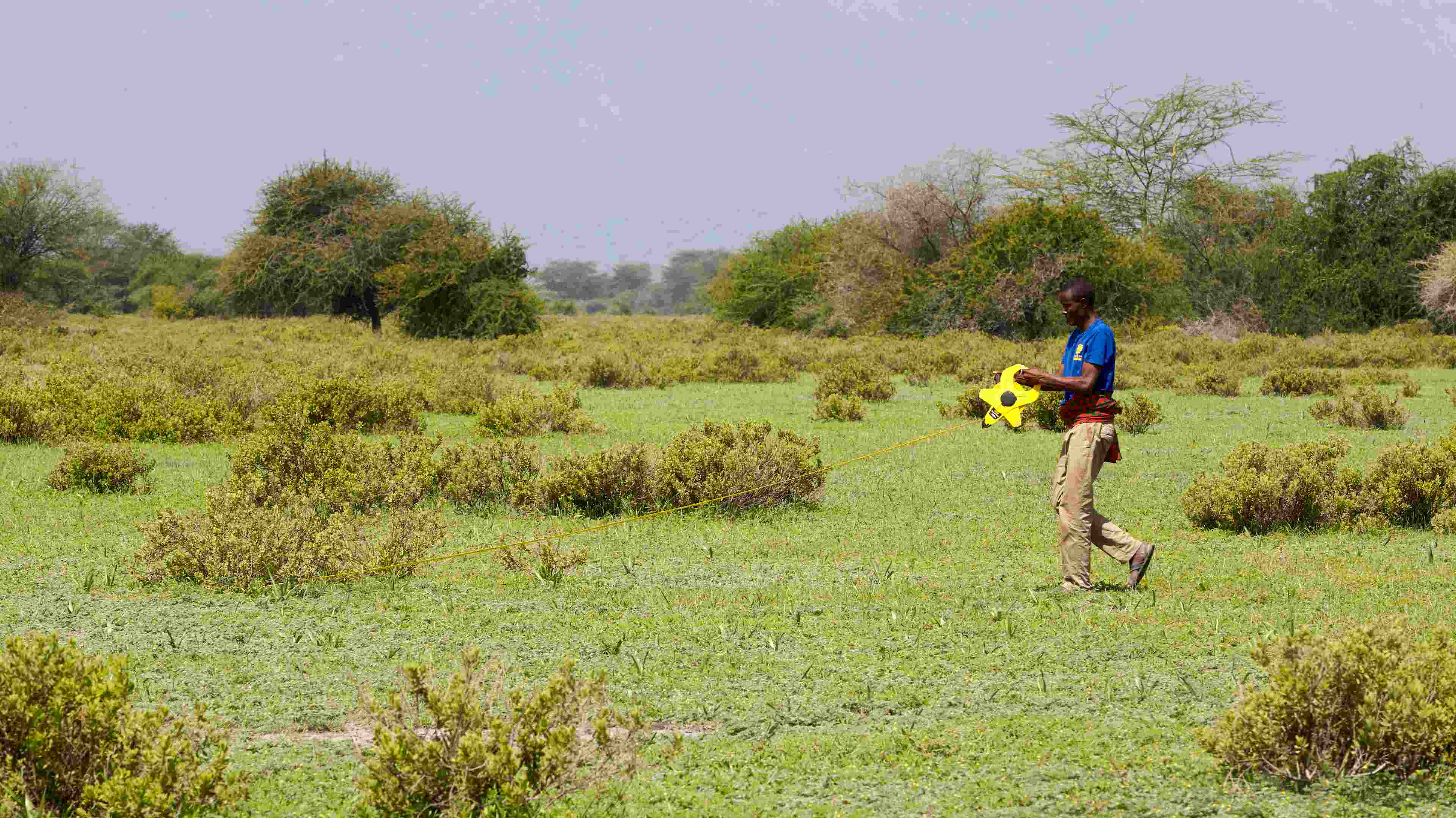 Measuring rangeland health with a transcect