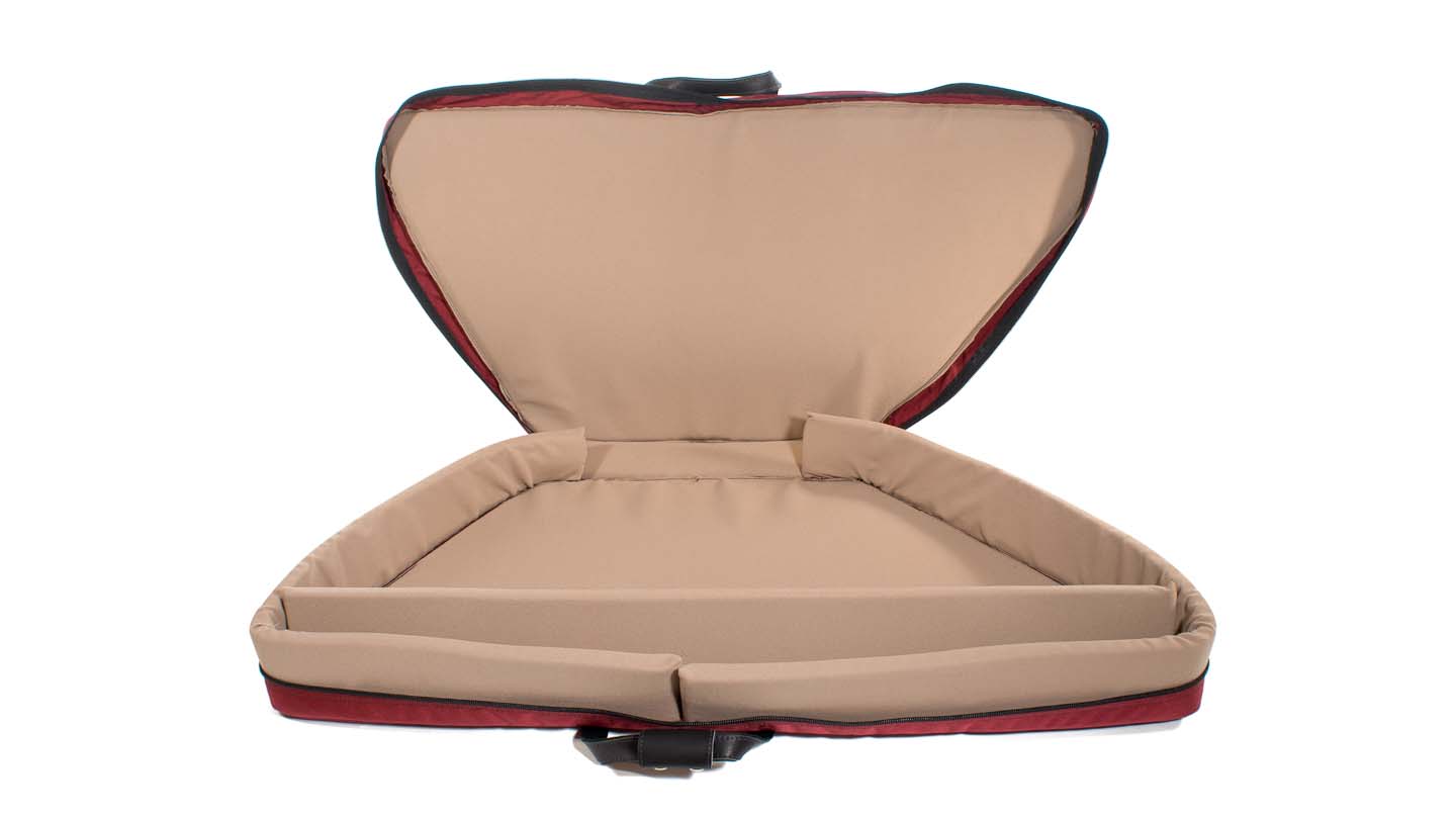 C500 hammered dulcimer case Dusty Strings