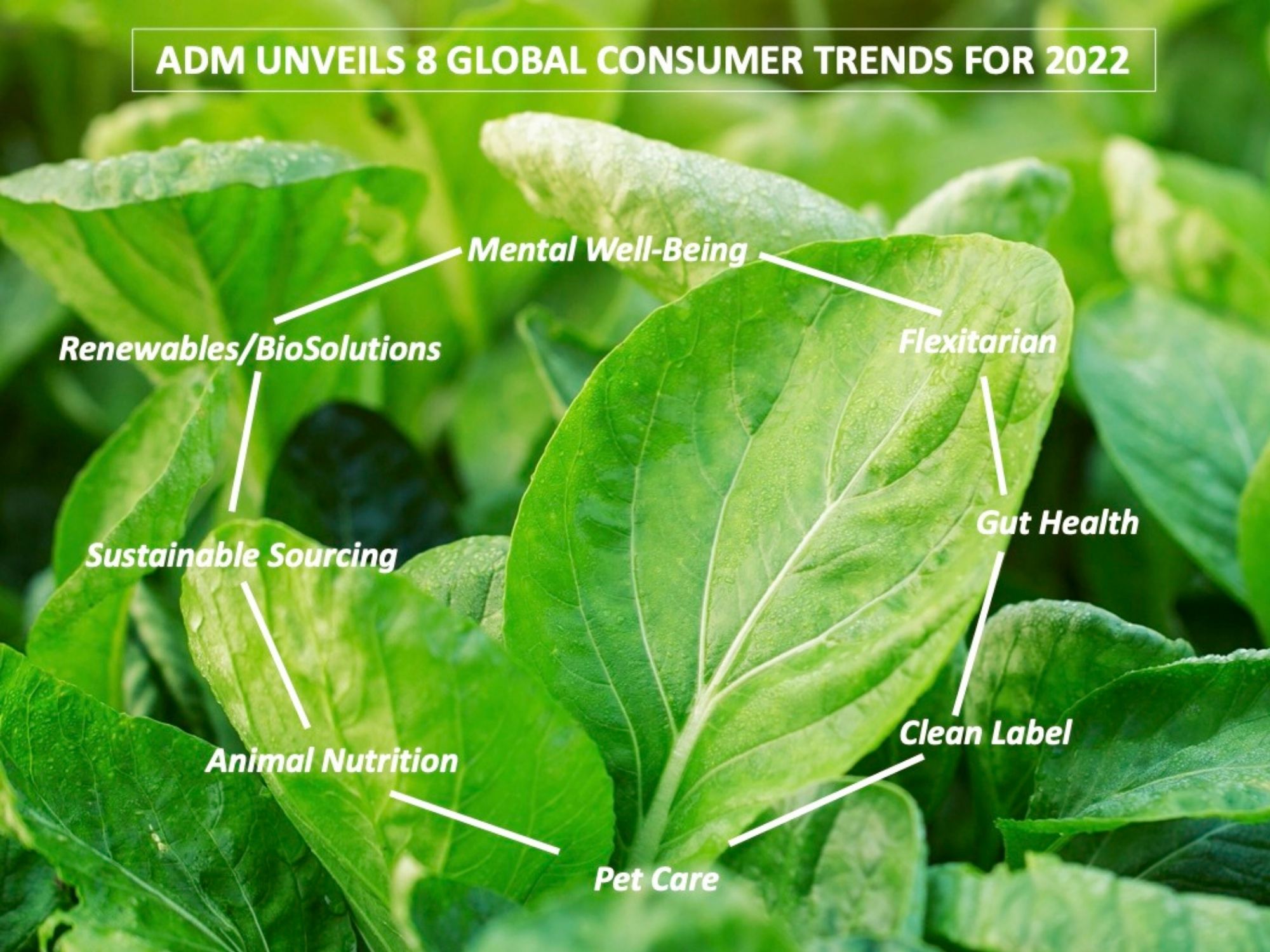 Nutrition giant, ADM unveils up and coming global consumer trends for 2022