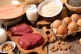 Alternative Protein