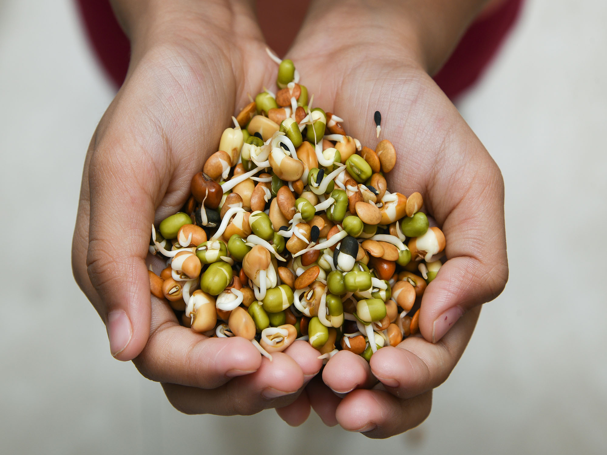 Burcon deploys TheoryMesh platform to optimize plant protein research and scale-up production
