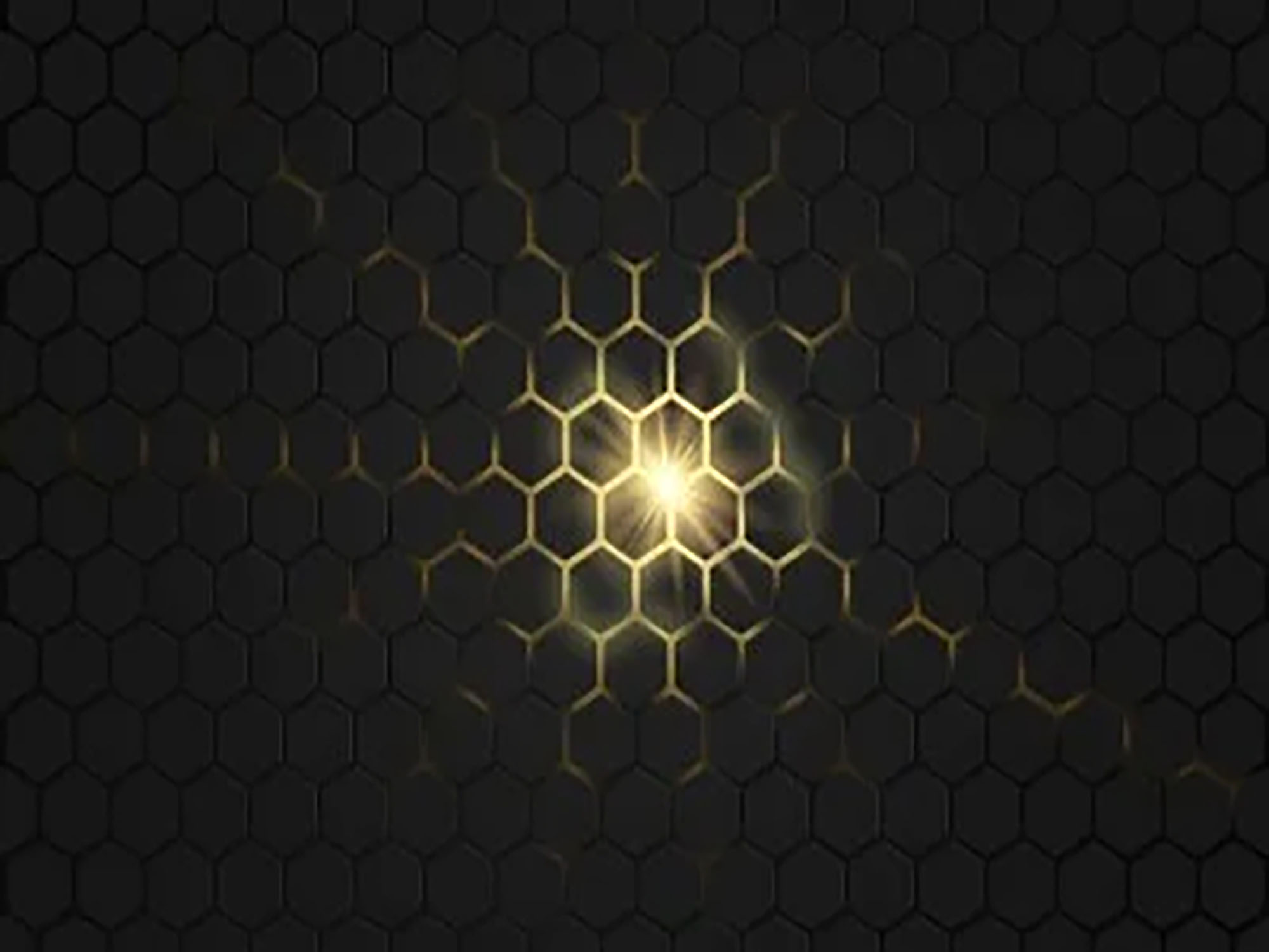 Nutreco unveils new operational function to drive innovation