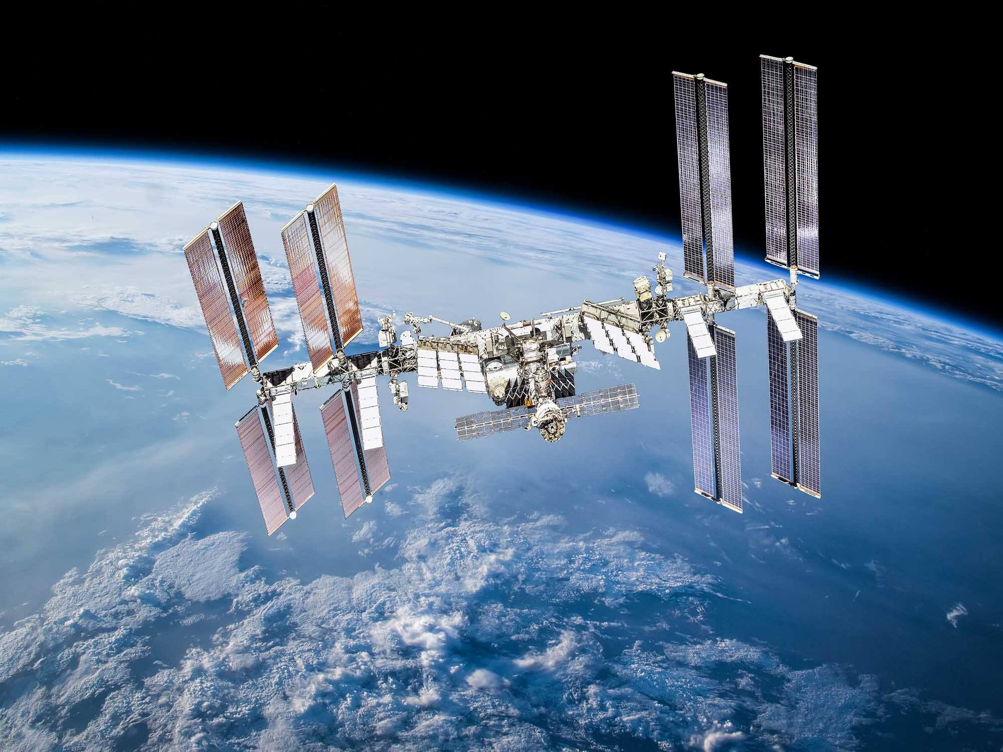 Nature’s Fynd and NASA join forces to grow fungi-based protein in space