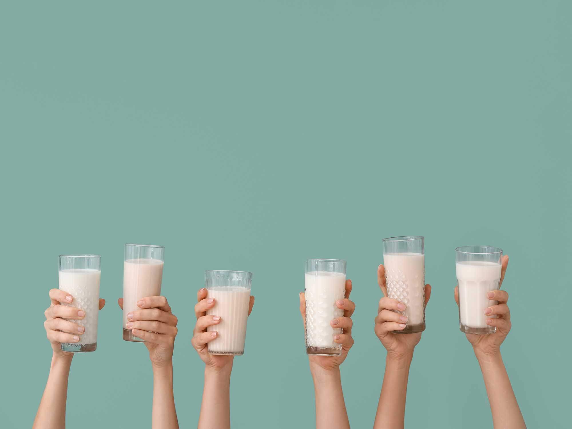Global incubation program for cellag technologies in dairy kicks off its second cohort