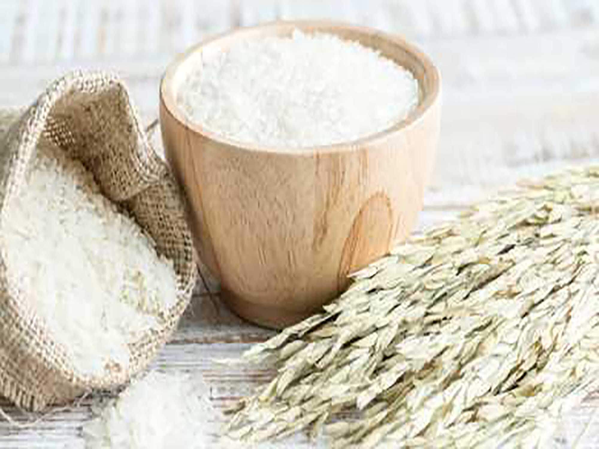 Roquette launches new rice protein