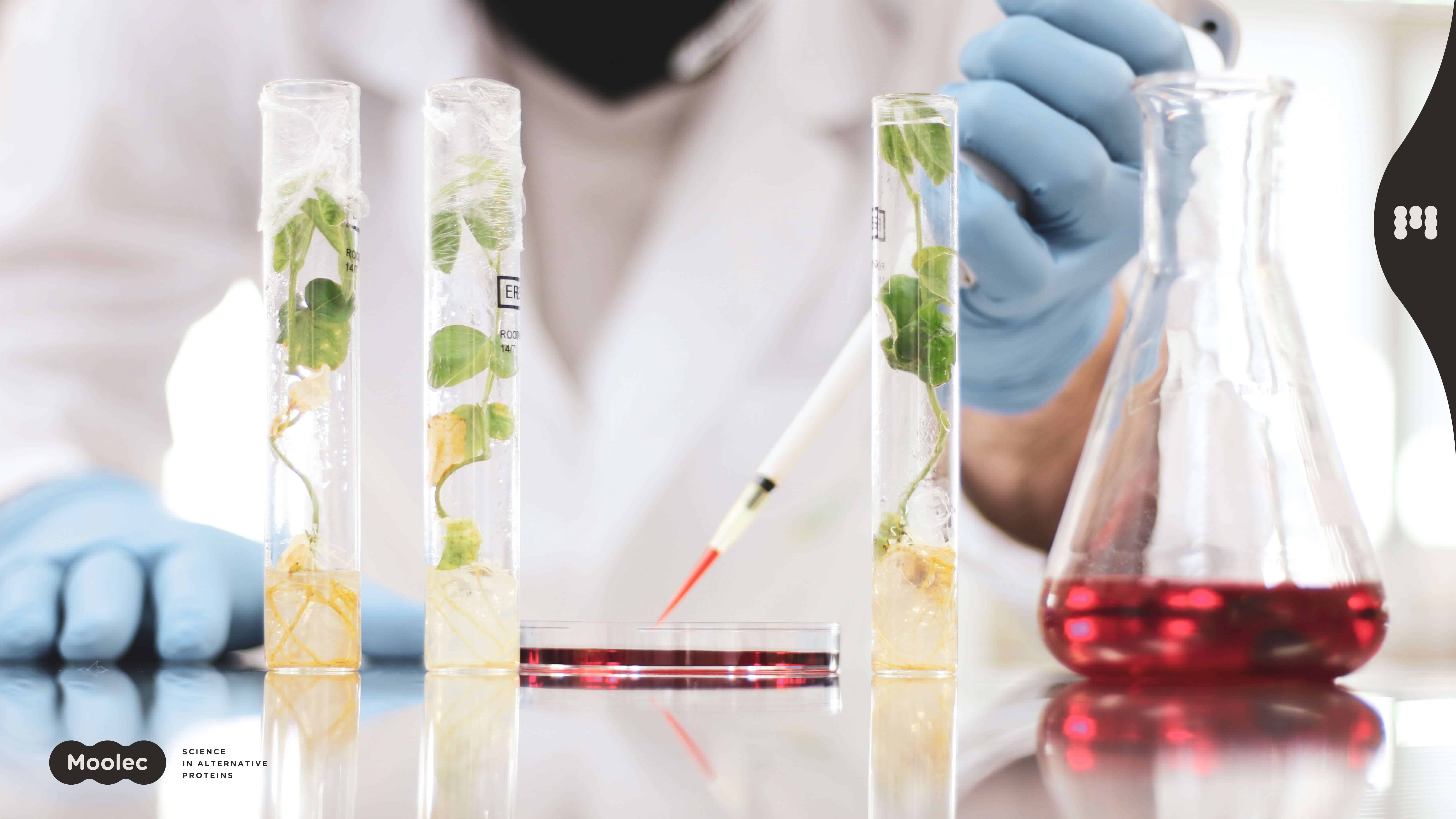 Moolec Science to list on Nasdaq through business combination with LightJump Acquisition Corp