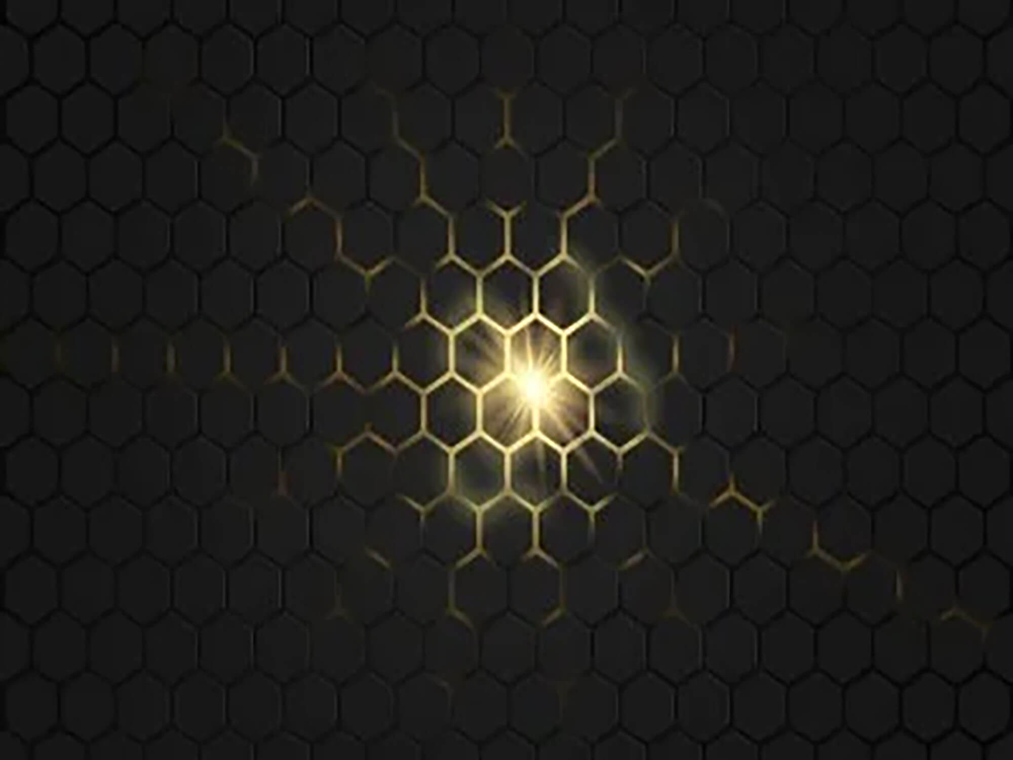 Nutreco unveils new operational function to drive innovation