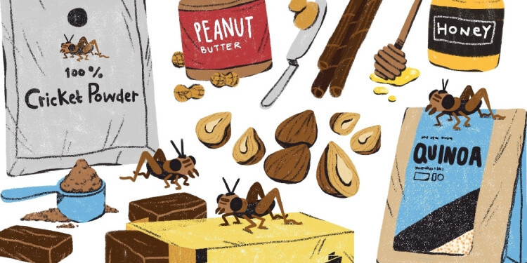 Alternative Food Startups Thriving in Singapore: Eating Smart