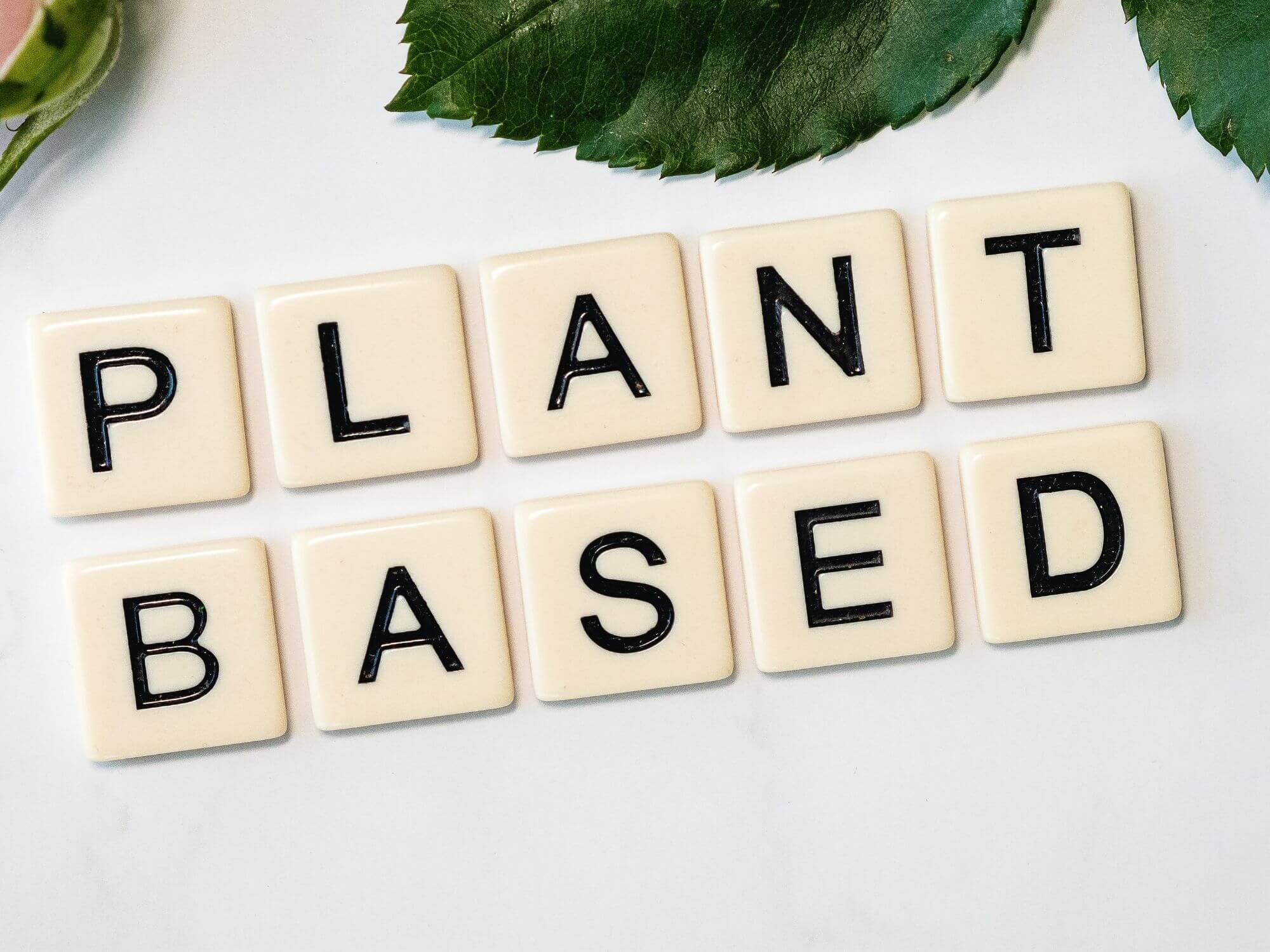 Pandemic Sees Alt Protein Investments Soar to $4.8Bn in 2021, Impossible Foods in the Lead