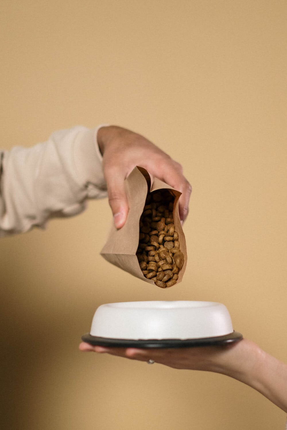 Canadian pet food startup embraces non-traditional proteins to achieve sustainability