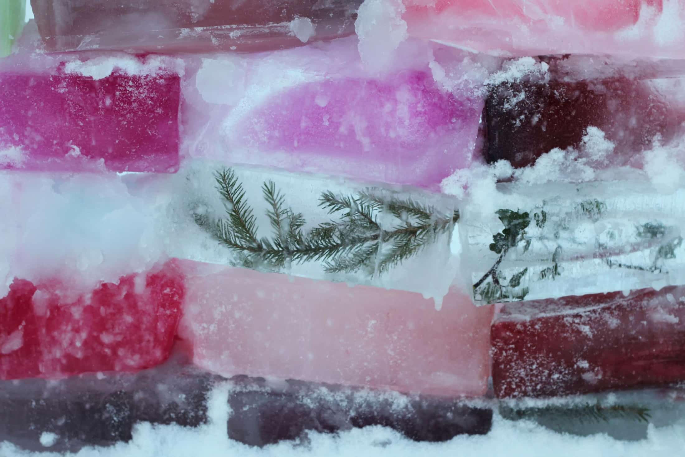 Phytolon Closes a $14.5 Million Series A to Further Develop Its Fermented Food Coloring