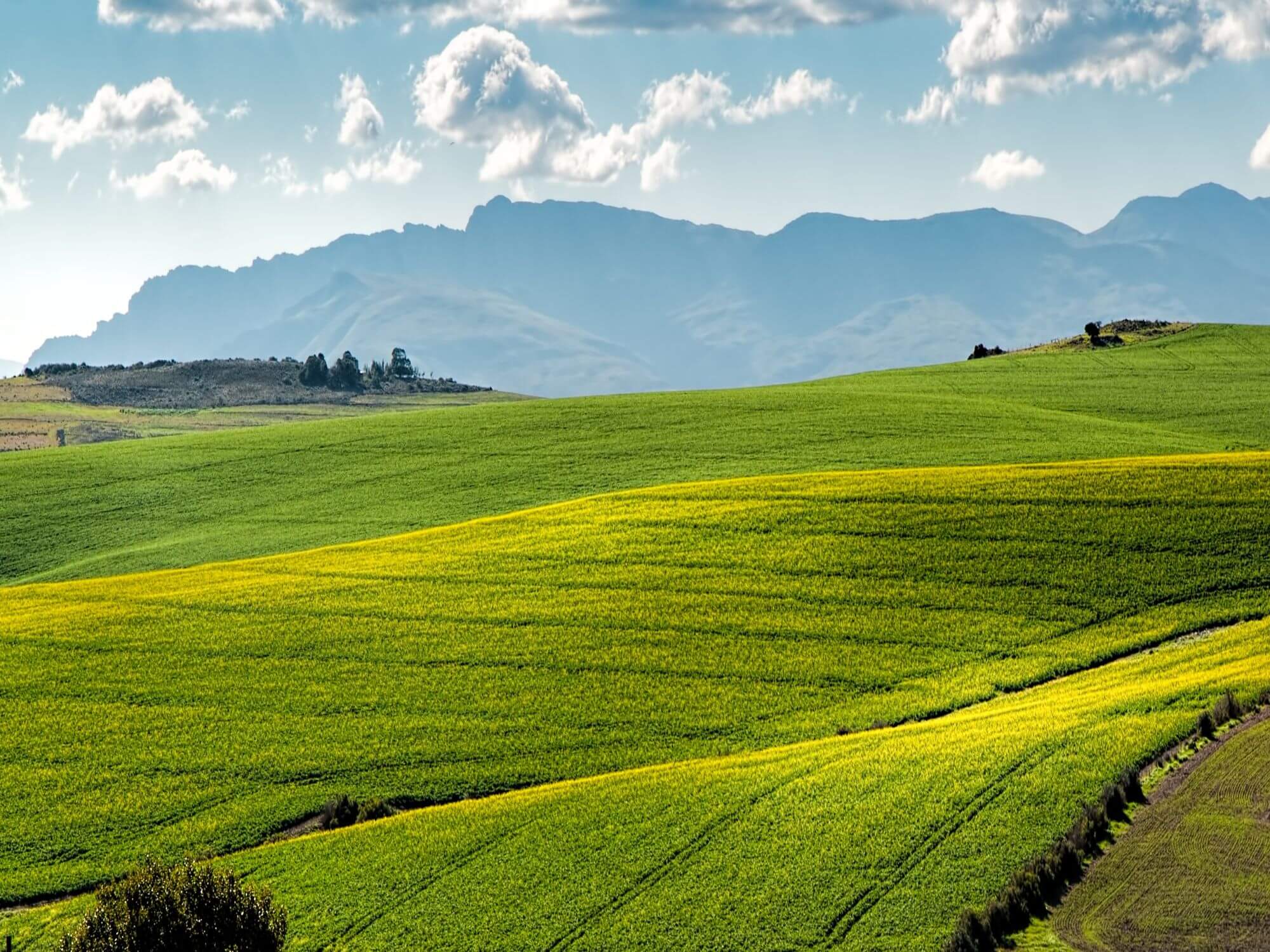 Three benefits of a circular economy for food