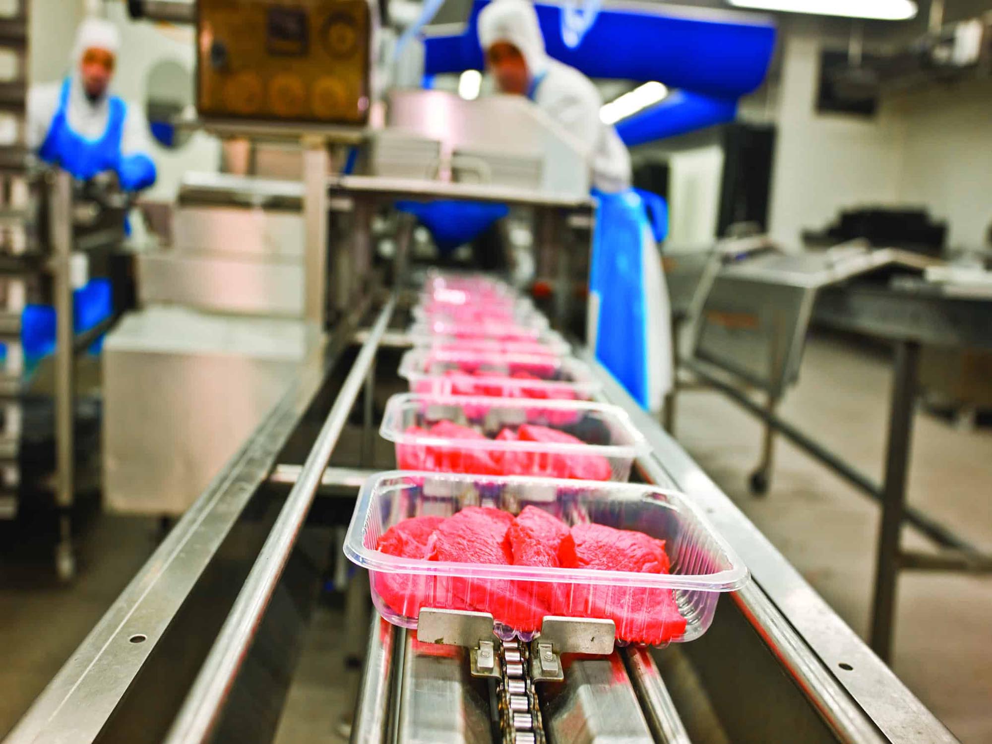 Steakholder Foods initiates cultured pork development using a porcine cell line