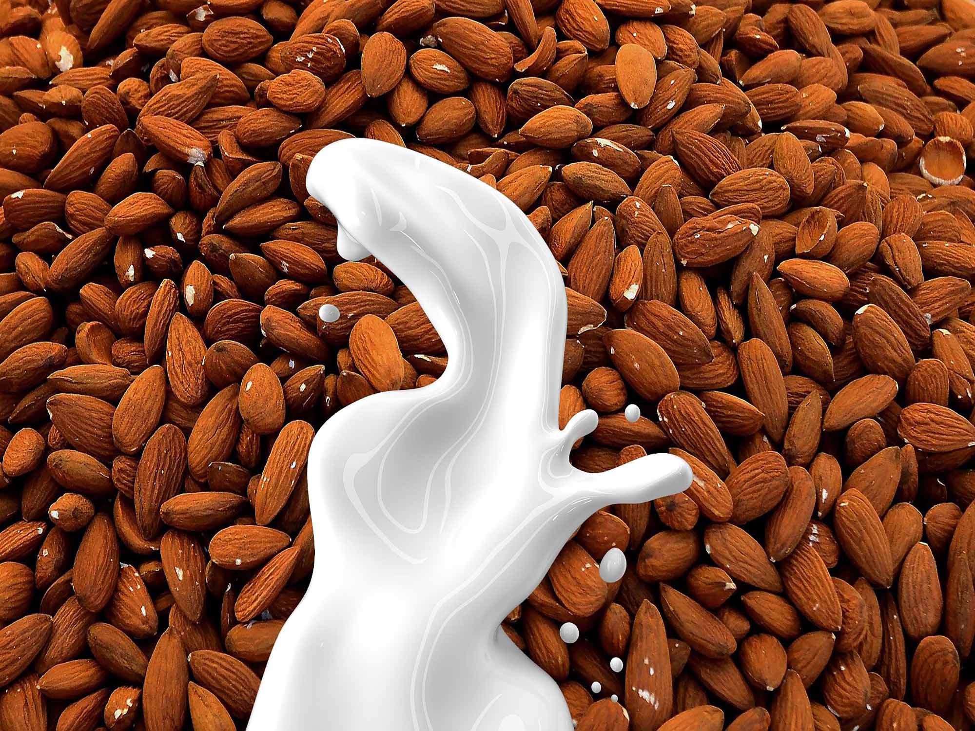 Completing the micronutrient picture for plant-based milk alternatives