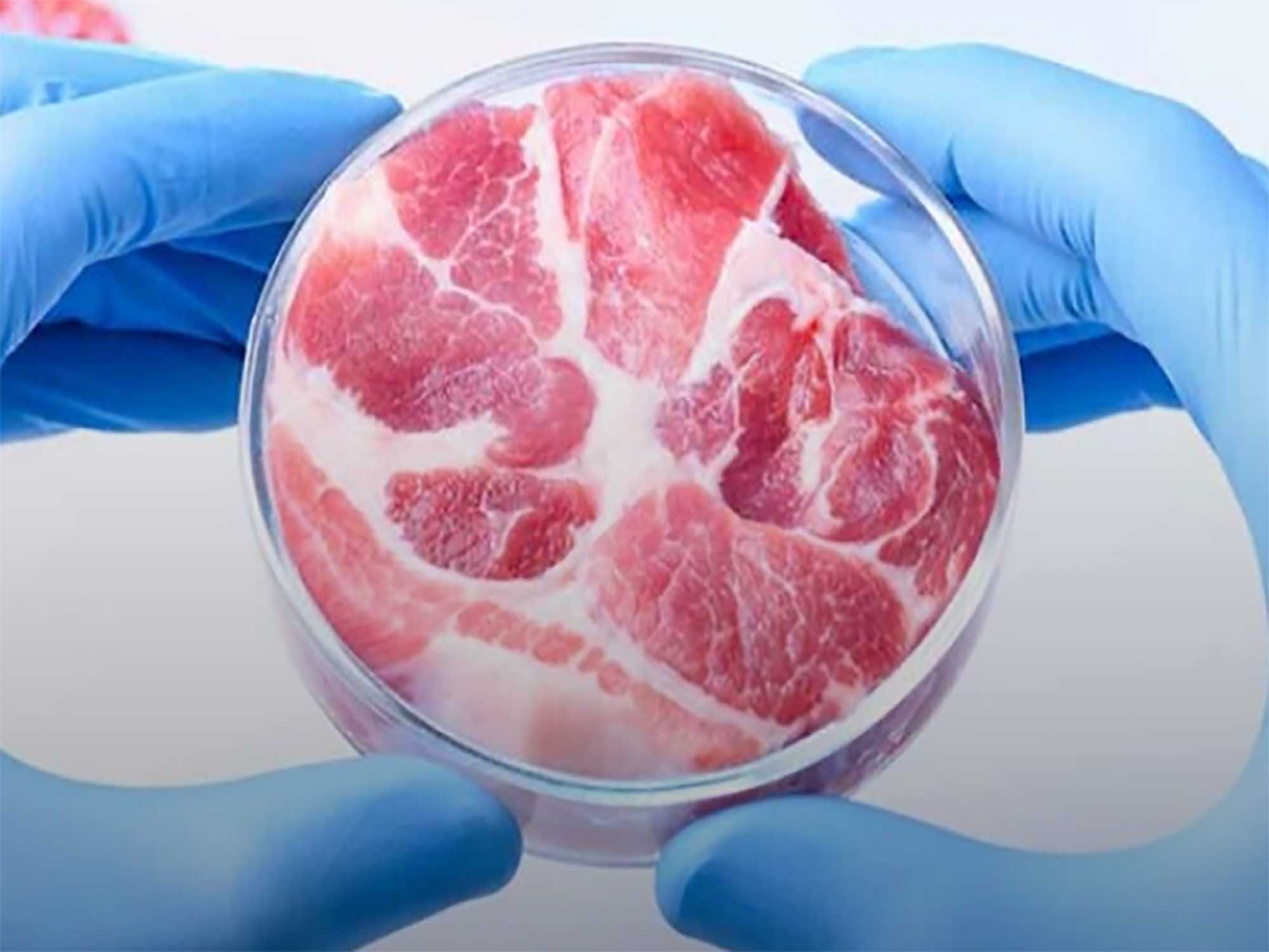 Could this technology help to transform the economics of cultivated meat?